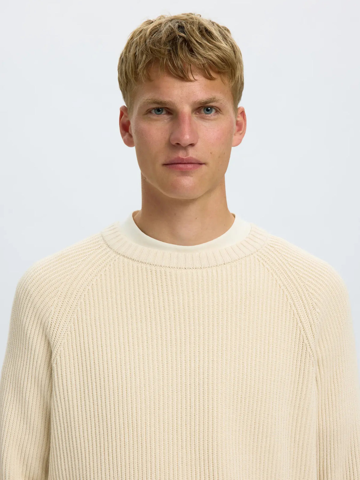 Selected Braun Relaxed Knit Crew - Birch
